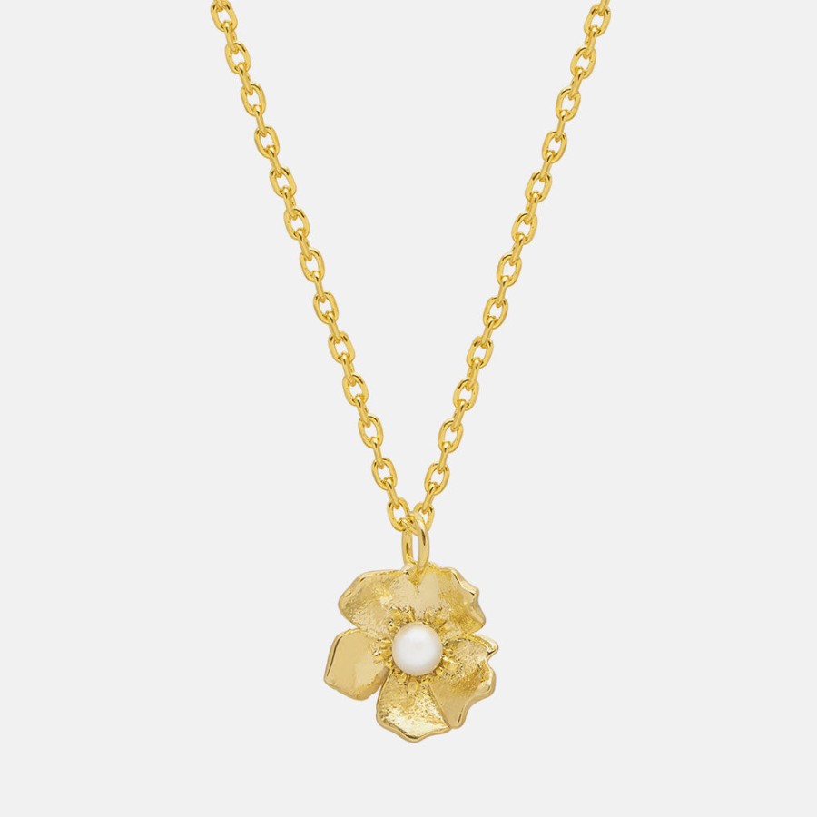 Wholesale ESTELLA BARTLETT Gold Plated Buttercup Pearl Necklace