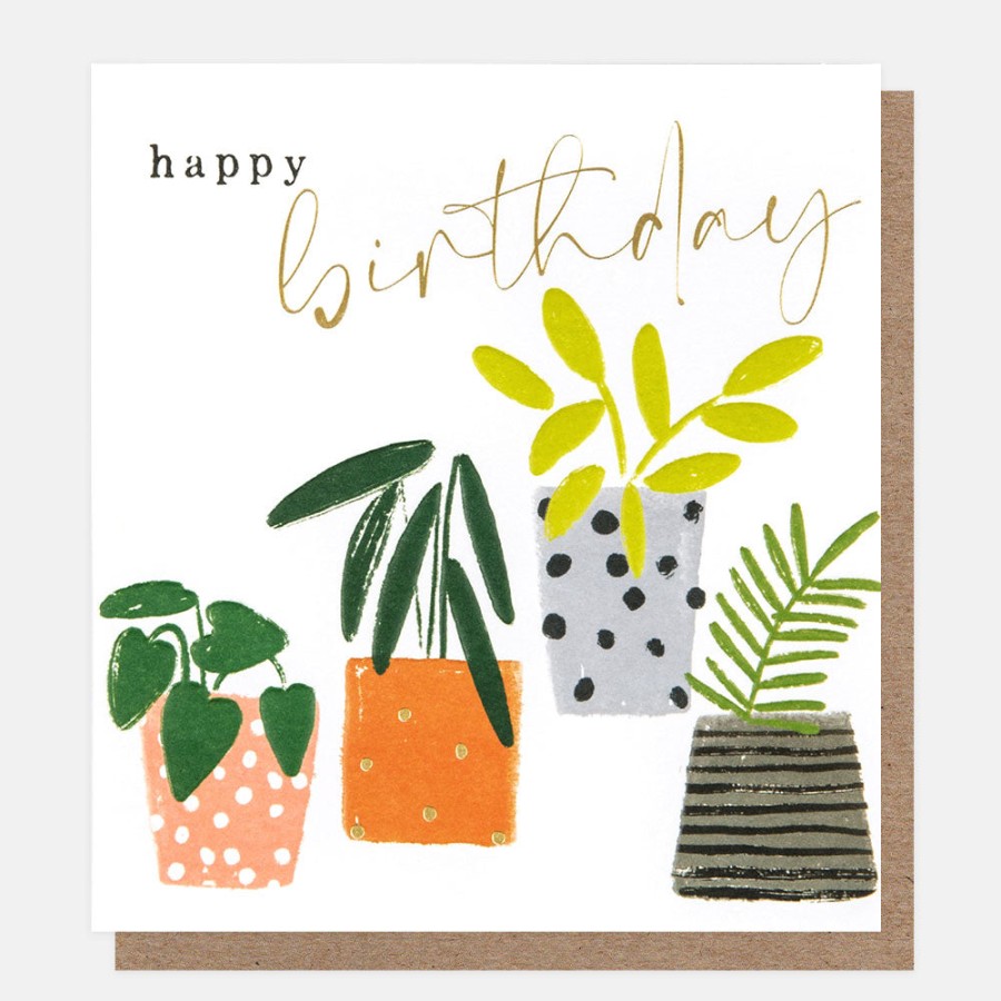 Best CAROLINE GARDNER Patterned Plant Pots Birthday Card