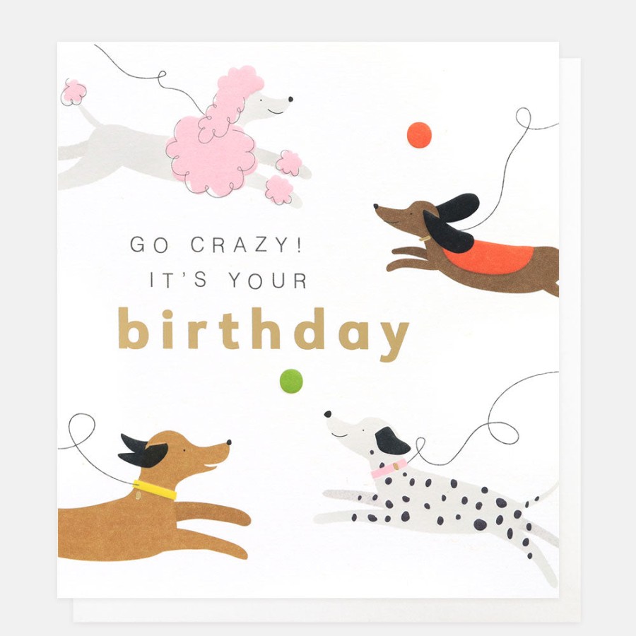 Hot Caroline Gardner Chasing Dogs Birthday Card