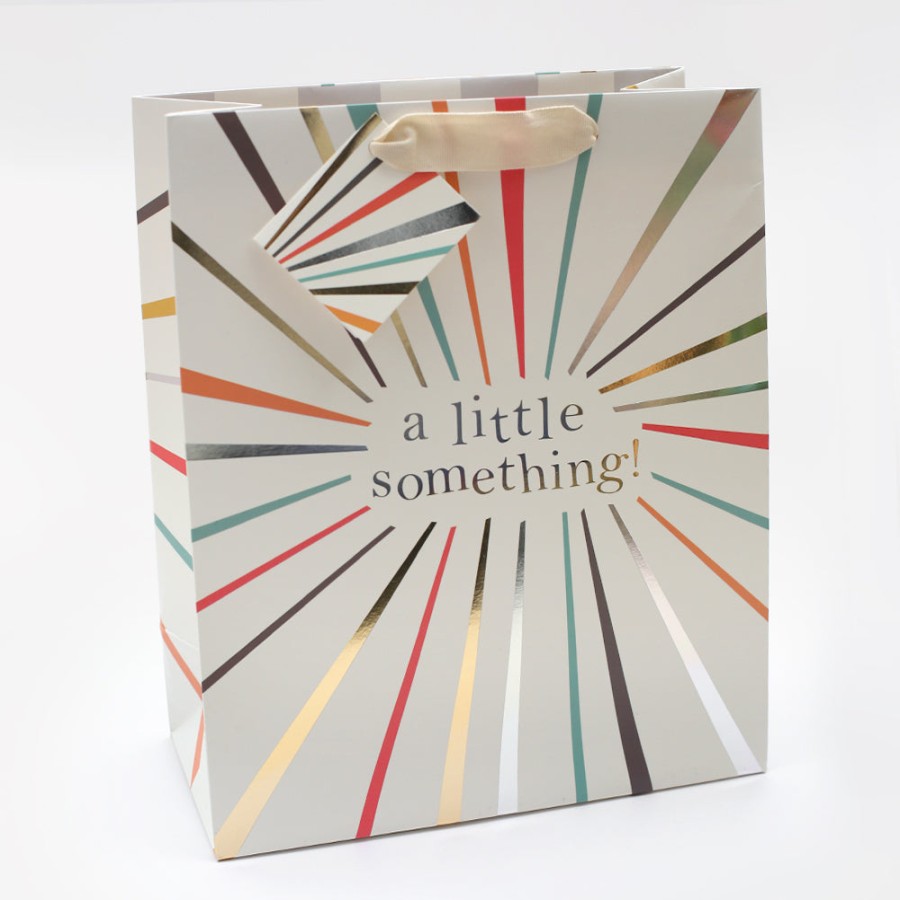 New Caroline Gardner A Little Something Large Gift Bag