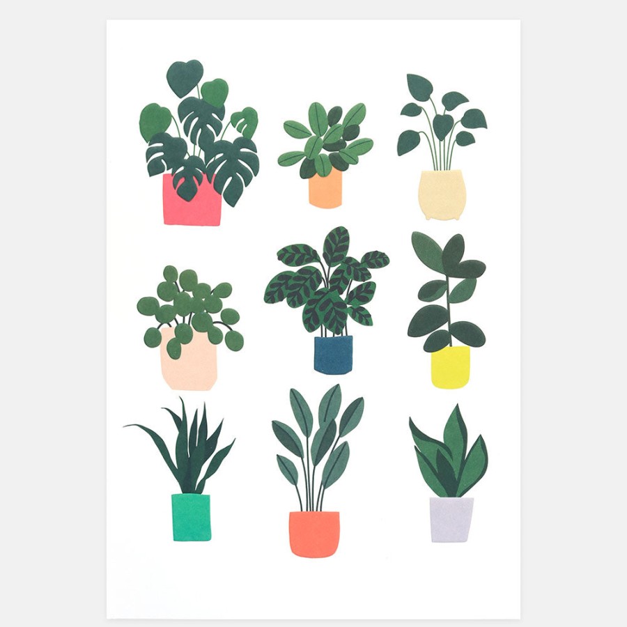 Wholesale Caroline Gardner House Plants Wall Art