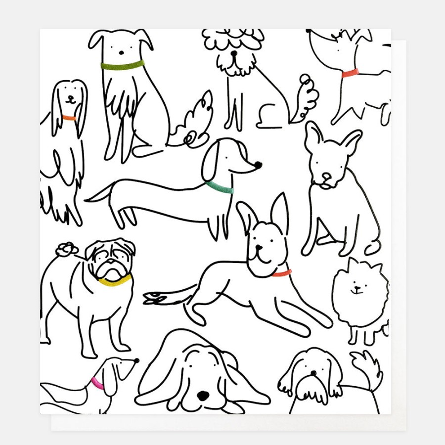 Wholesale CAROLINE GARDNER Scribbly Dogs Everyday Blank Card