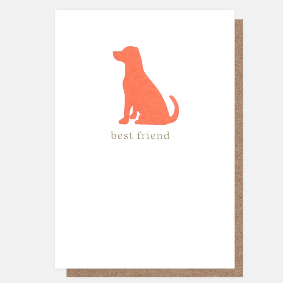 Hot CAROLINE GARDNER Best Friend Dog Everyday Card