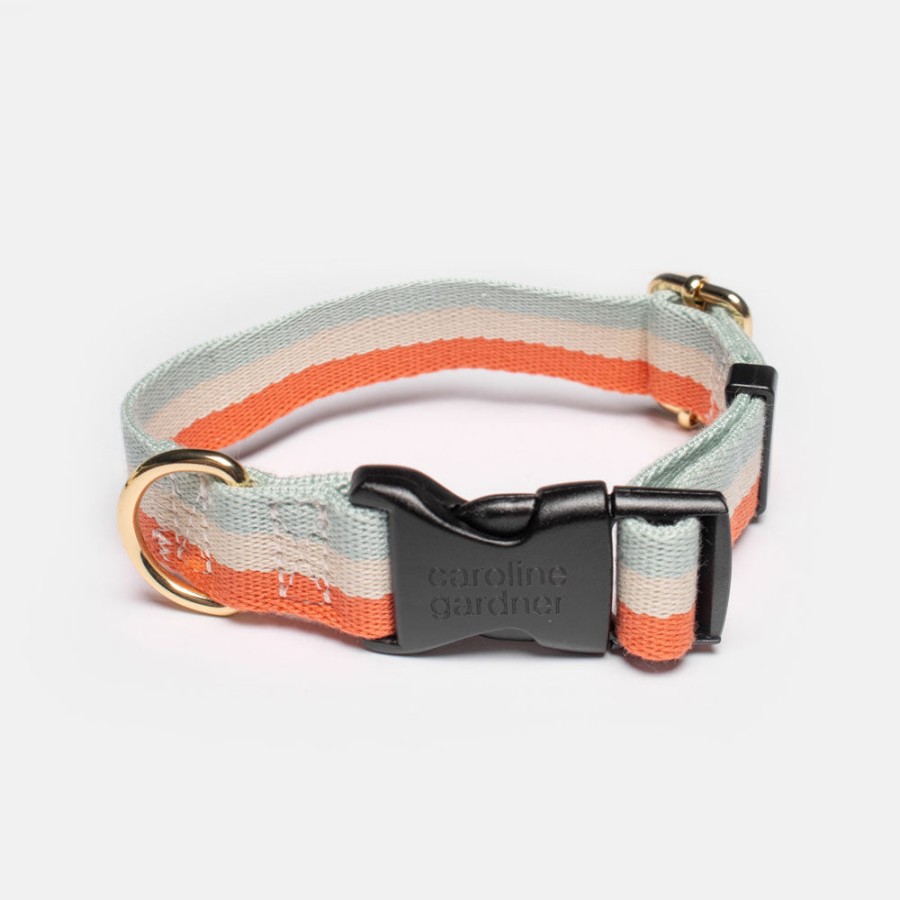 Online CAROLINE GARDNER Blue/Coral Orange Stripe Dog Collar