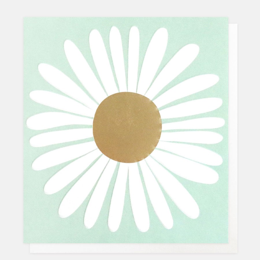 Hot Caroline Gardner White Daisy Everyday Card