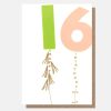 Best Caroline Gardner Green/Pink Balloon 16Th Birthday Card