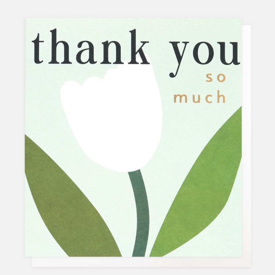 Hot Caroline Gardner White Tulip Thank You Card