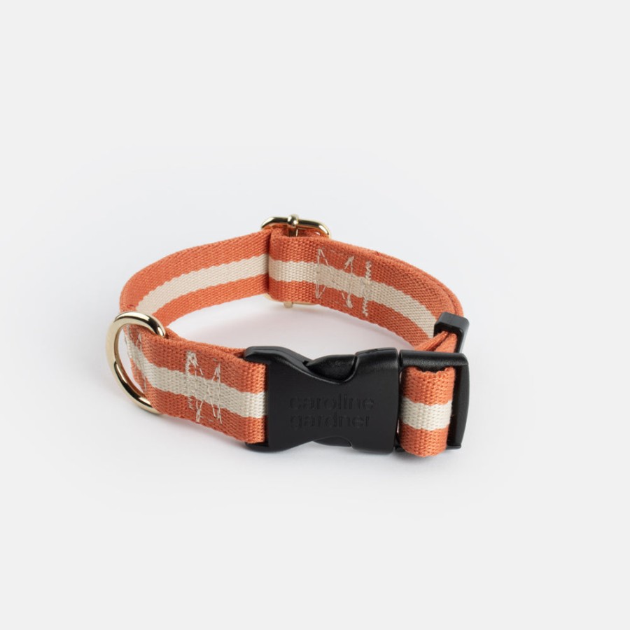 Online CAROLINE GARDNER Orange/Cream Stripe Dog Collar