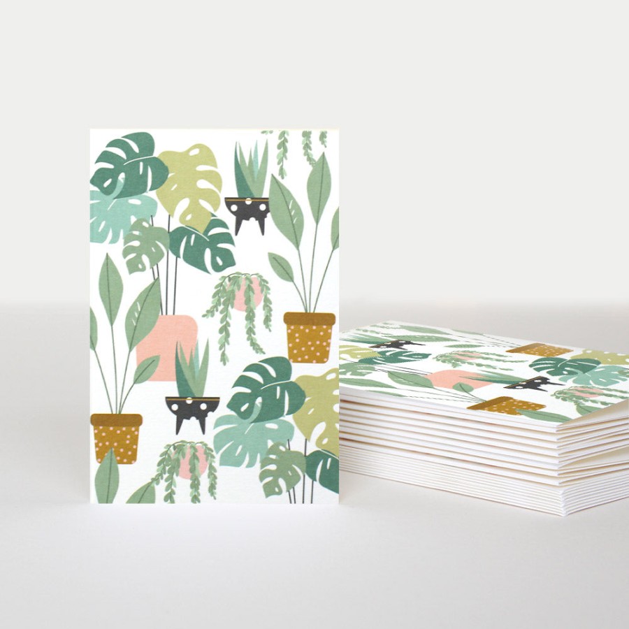 Clearance Caroline Gardner House Plants Blank Notecards Pack Of 10